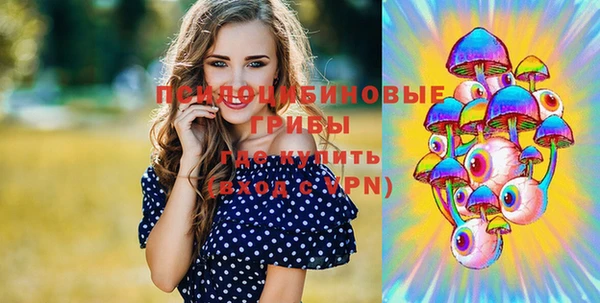 прущая мука Алзамай